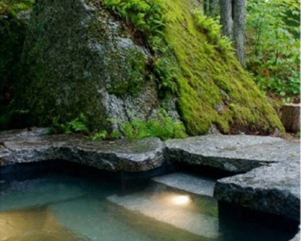 Inspirace vířivka v zahradě