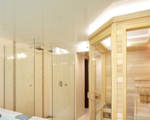 Sauna wellness Hedvika
