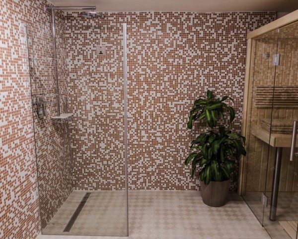 wellness_hotel_palace_cinema_jiloviste_spa_sauny_virivky006