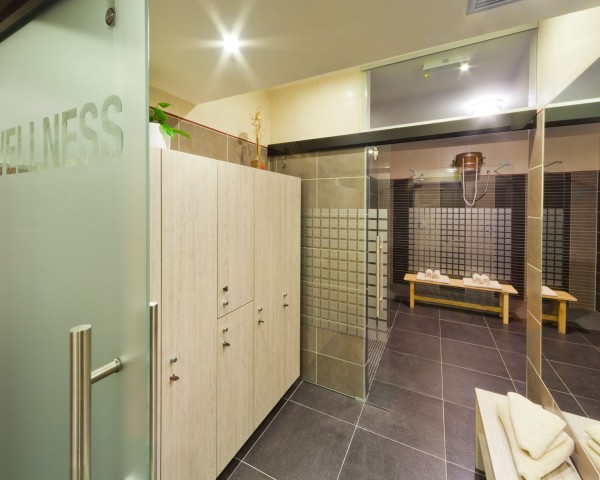 Sauna ve wellness Panorama