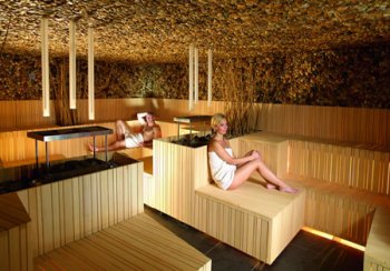 bio-sauna